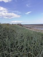 Boulmer beach