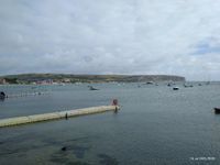 Monkey Beach Swanage