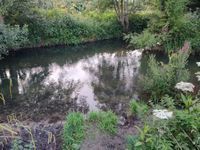 Photo 5 of River Frome