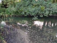 Photo 4 of River Frome