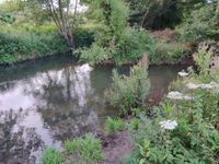 Photo 3 of River Frome