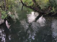 Photo 2 of River Frome