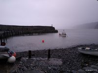 Clovelly Harbour
