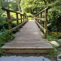 Photo 3 of Aira Force Waterfall