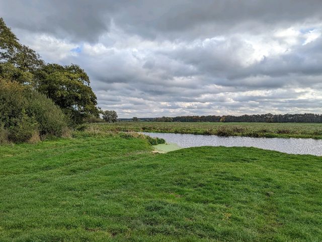 Hockwold Common