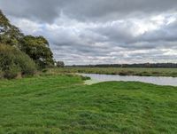 Photo 5 of Hockwold Common