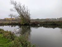 Photo 2 of Grantchester Meadows