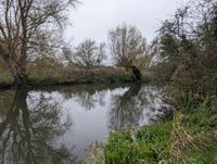 Photo 3 of Grantchester Meadows