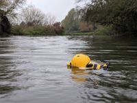 Photo 4 of Grantchester Meadows