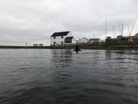 Photo 3 of Woodup Pool, Tollesbury