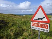 Photo 5 of Eriskay causeway beach