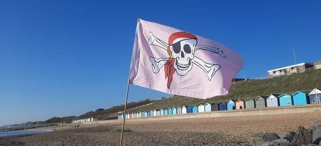 Mental Health Swim/Flags Cafe
