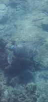 Photo 2 of Limni Vouliagmenis