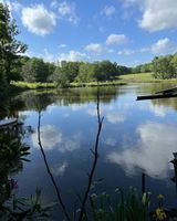 AshdownForestLeisure