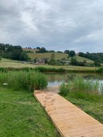 Dragons gate wild swim