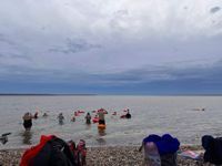 Solent Sea Swimmers