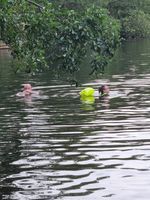 Photo 2 of Caen Meadow Wroxham