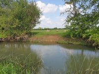 Photo 2 of River Cherwell Spot 1