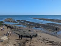Photo 3 of Robin Hoods Bay