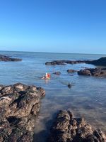 Photo 5 of Goodrington