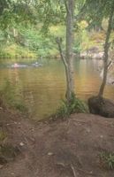 Photo 4 of Feshiebridge