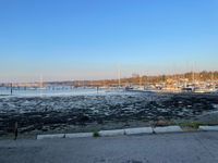 Photo 5 of Swanwick Marina