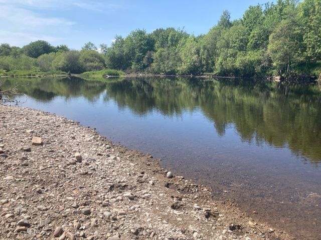 River Earn