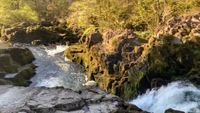 Skelwith Force
