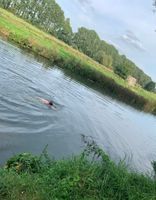 Photo 2 of Cheese Wharf