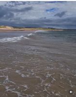 Cheswick Sands