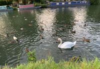 Photo 4 of Cheese Wharf