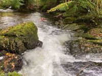 Forest Garden Mountain Pools
