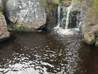 Kielder Forest Drive