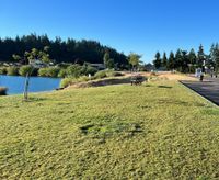 Photo 3 of Turner Lake