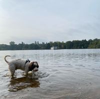 Photo 4 of Powell’s Beach