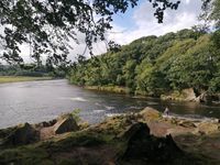 Photo 3 of Marles Wood