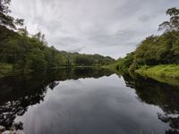 Yew tree tarn