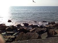 Photo 2 of Westward Ho!