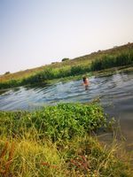 Photo 3 of River Frome