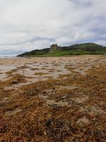 Photo 3 of Loch Moidart Castle Tioram