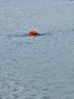 Photo 4 of Manley Mere