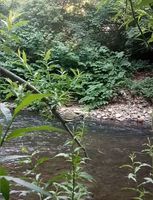 Rhymney concealed spot