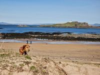 Photo 3 of Yellowcraig