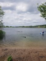 Photo 3 of Pickmere Lake