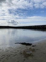 Photo 3 of Glimps Holm Beach