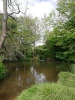 Photo 2 of Woollard Plunge Pool