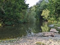 River Teme at Martley