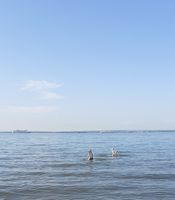 Photo 3 of Players Beach