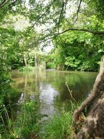 Woollard Plunge Pool