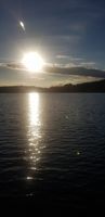 Photo 4 of Lochore Meadows